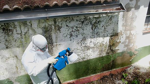 Top rated local Commercial Mold Remediation specialists in Great Falls, VA